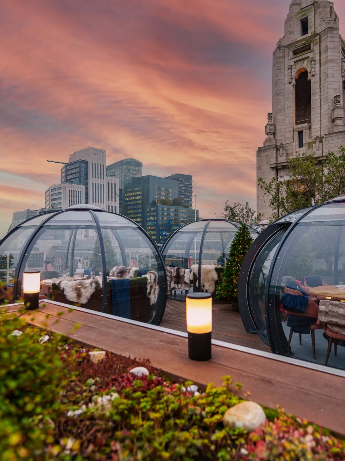 Aviary igloos 5