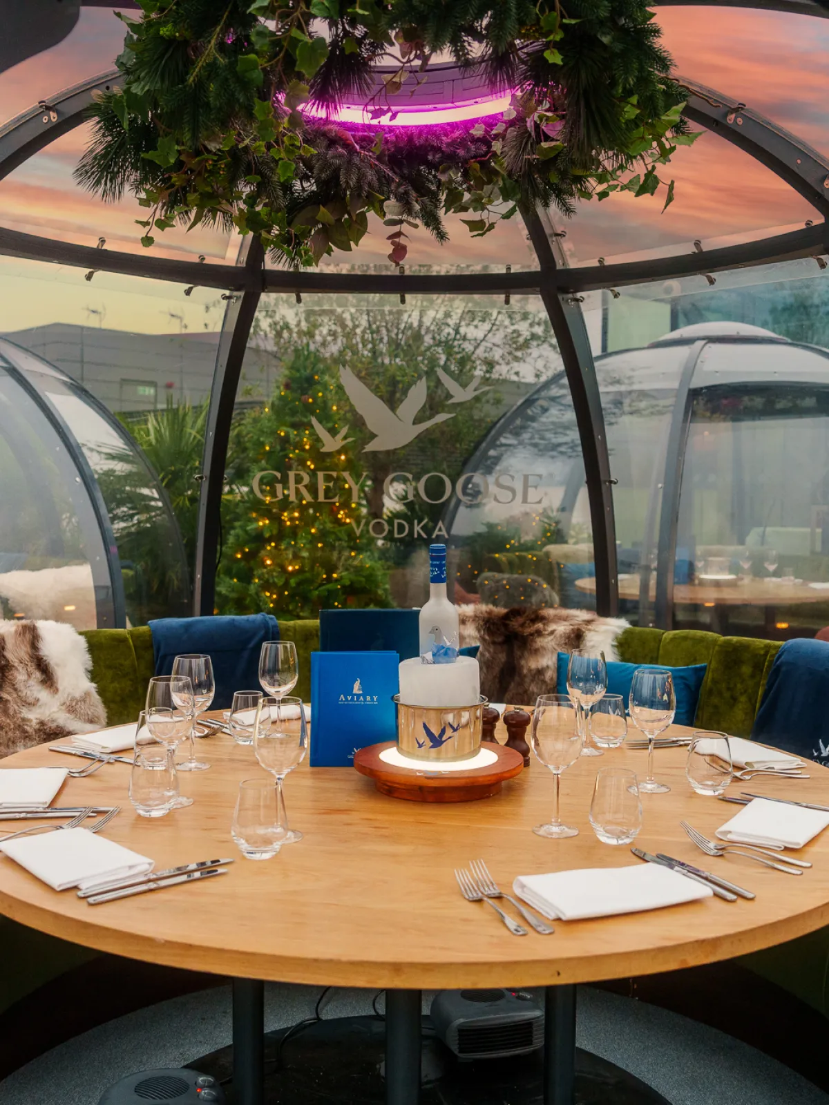 Aviary igloos 6